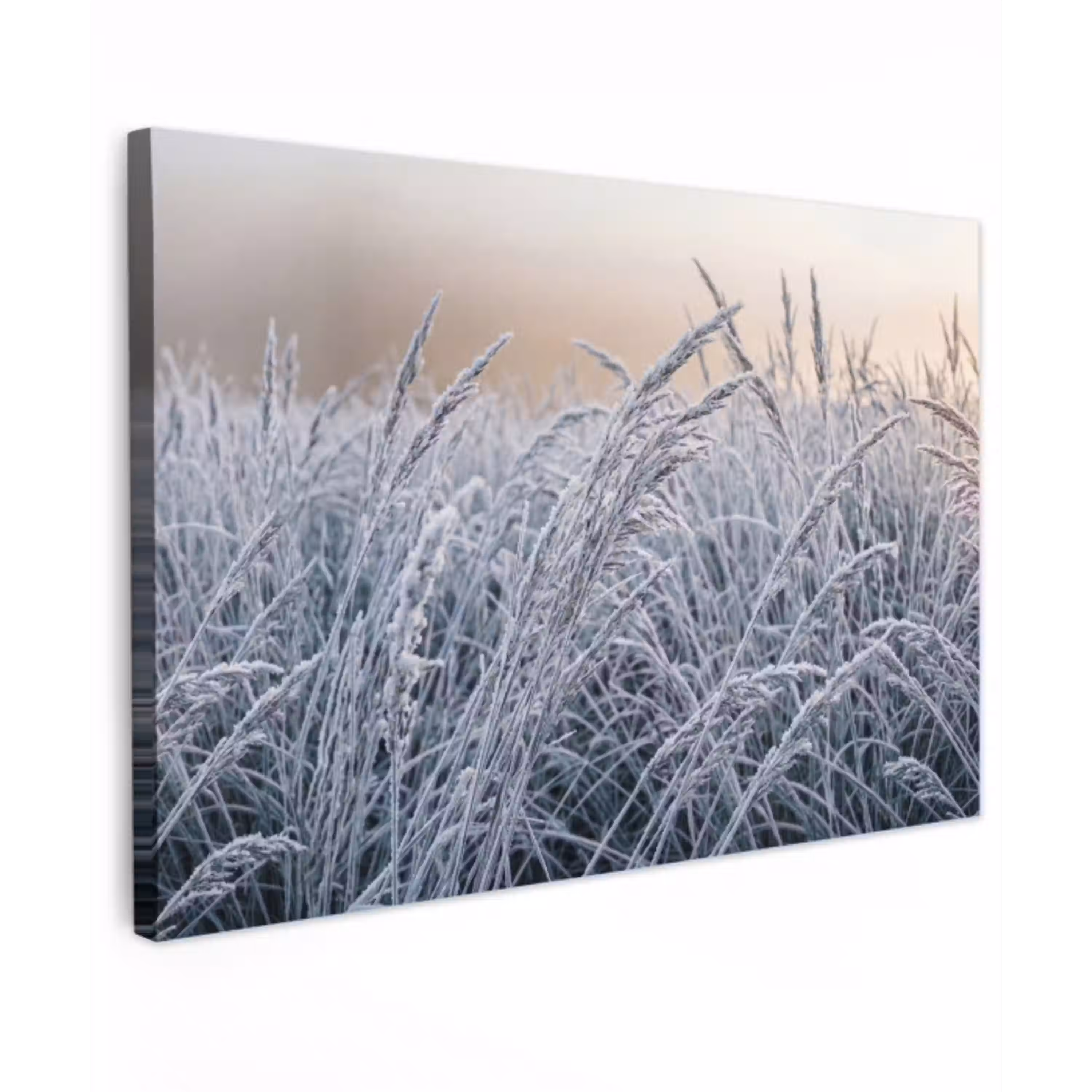Rijp - Gras - Kristallen - Winter - Minimalistisch canvas 2cm klein -z3d