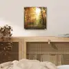 Bos - Herfst - Zon - Landschap - Natuur - Bomen - Bladeren plexiglas 5mm klein -sfeer4