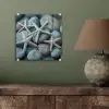 Zeesterren - Stenen - Wit plexiglas 5mm klein -sfeer3
