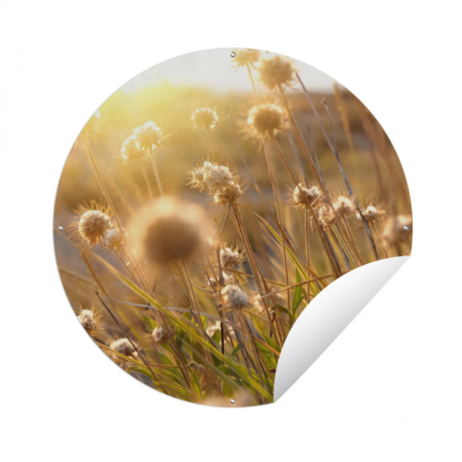 Planten - Natuur - Bloemen - Zon - Horizon Wandcirkel tuinposter met ringen klein -3d