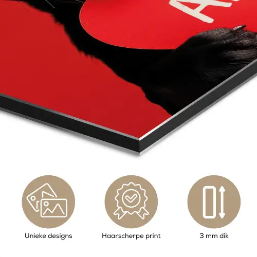 Amor - Hond  - Hartje - Rood aluminium wit klein -closeup_NL