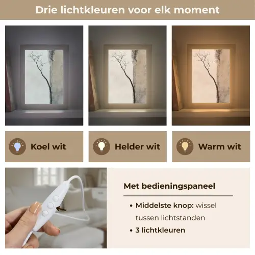 Wabi sabi - Plant - Beige Light Box met kabel (Tafellamp) klein -USP_lichtkleurNL