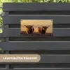 Schotse hooglanders - Heide - Landschap - Dieren tuinposter los doek klein -sfeer3