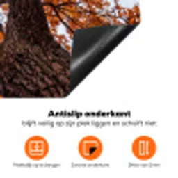 Boom - Bladerdak - Herfst - Oranje - Sfeervol Inductie beschermer vinyl 3mm klein -zzzzzzz-td-onderkant