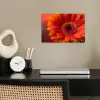 Oranje - Gerbera - Intens poster papier klein -sfeer1