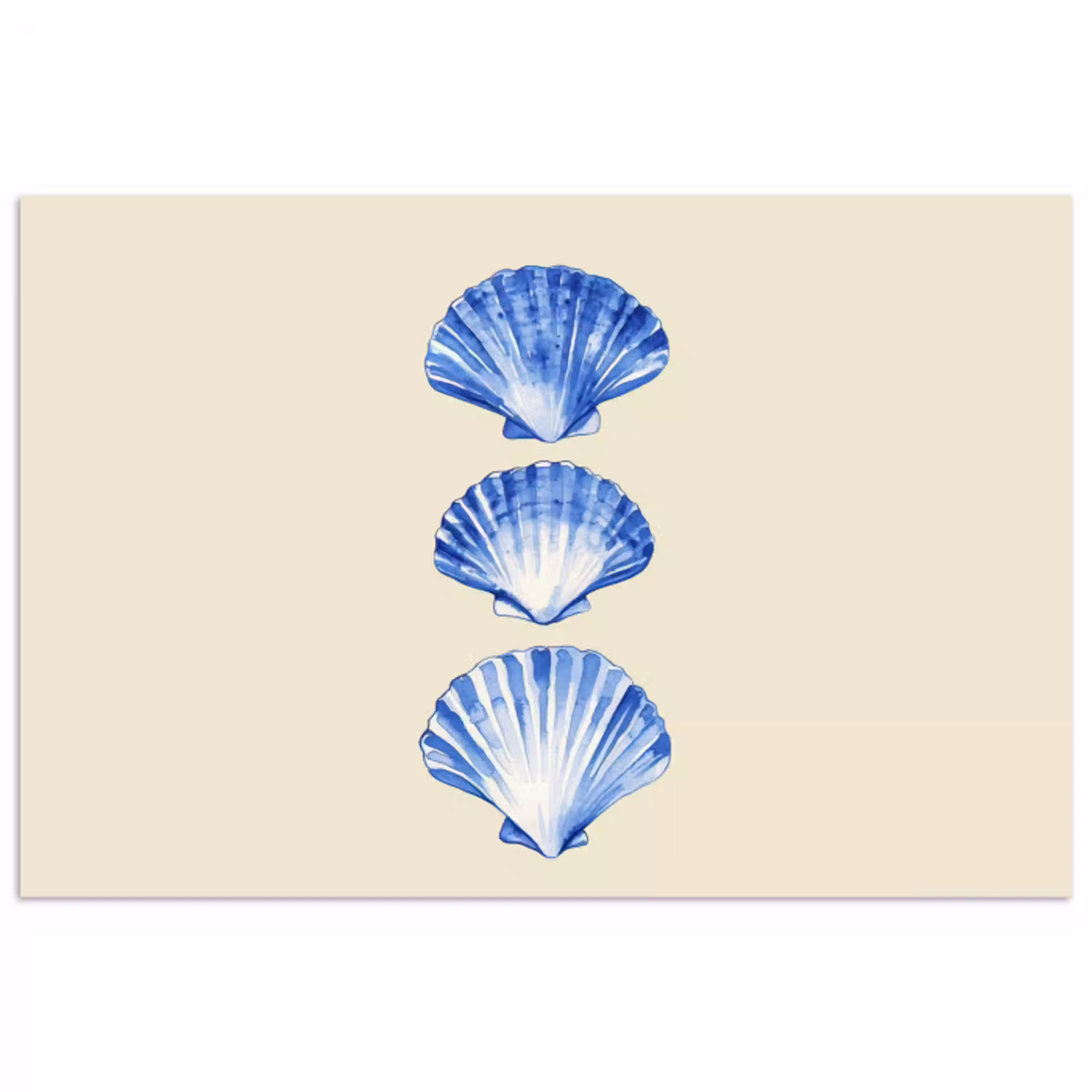 Schelpen - Blauw - Beige poster papier klein -3d