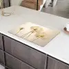 Zonovergoten Fragiliteit Inductie beschermer vinyl 3mm klein -sfeer8