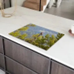 Uil - Oehoe - Bomen - Natuur Inductie beschermer vinyl 3mm klein -sfeer8