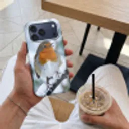 Roodborstje - Tak - Sneeuw - Winter - Levendig Toughcase MagSafe Apple iPhone 17 Pro Max klein -Sfeer1M