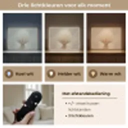 Dromerig - Beige - Paardenbloemzaadjes Light Box met batterij (Wandlamp) middel -USP_lichtkleurNL