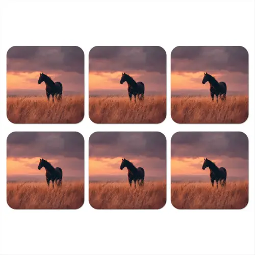 Paard - Wolken - Open veld onderzetter kurk middel -3d