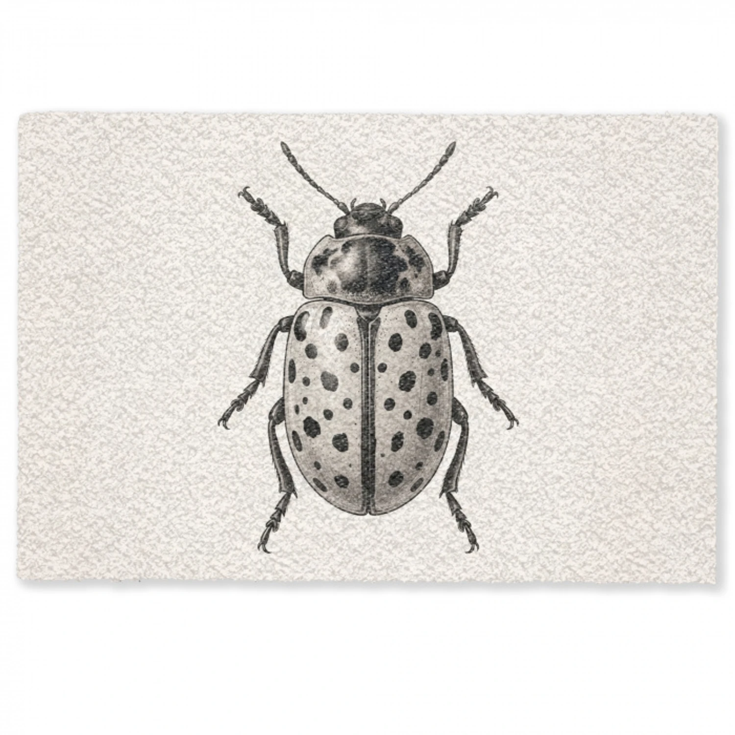 Kever - Insect - Vintage Deurmat klein -zkaufland3d