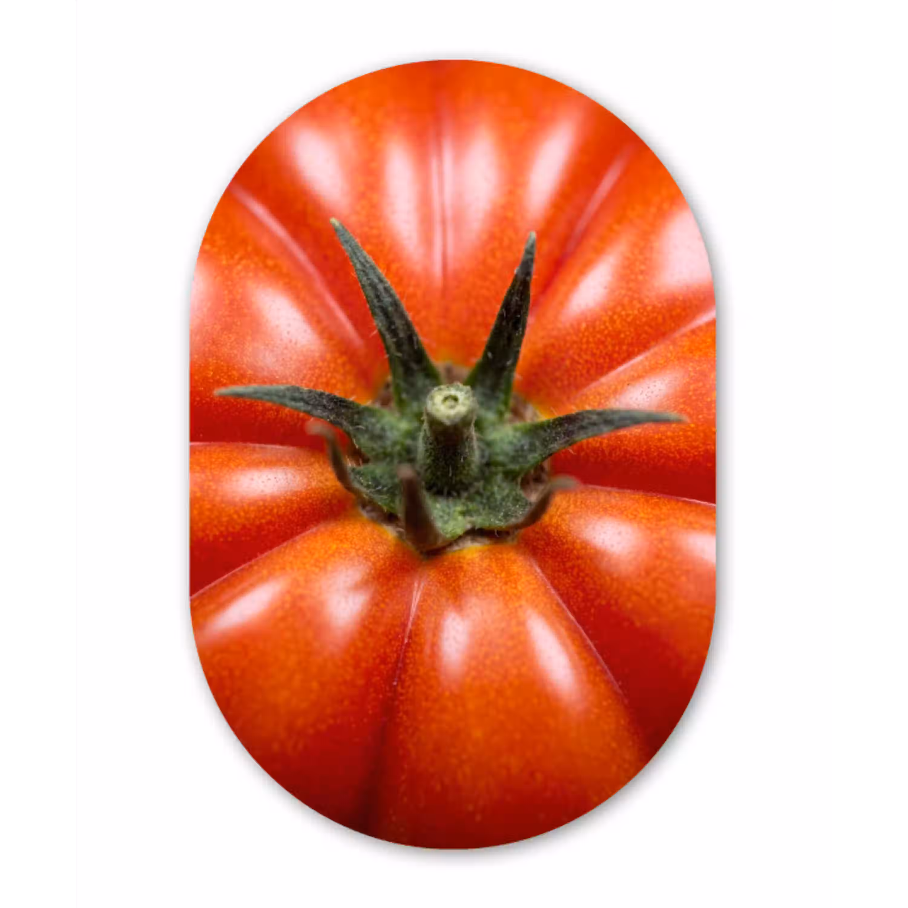 Eten - Tomaat - Rood Wandcirkel Ovaal Glas middel -3d