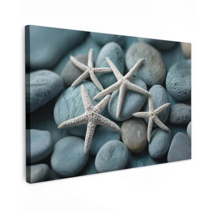 Zeesterren - Stenen - Wit canvas 2cm klein -z3d