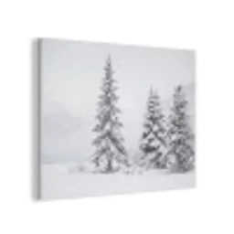 Fijnsparren - Sneeuw - Winter - Landschap - Stilte PET vilt klein -3d