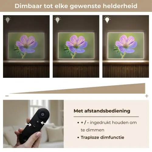 Bloem - Close up - Paars Light Box met batterij (Wandlamp) middel -USP_dimbaarNL