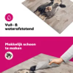 Koe - Portret - Dieren - Modern Inductie beschermer vinyl 3mm klein -wsfeer6_website