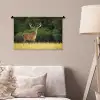 Hert - Gewei - Gras - Natuur - Dieren - Groen Wandkleed katoen klein -sfeer4