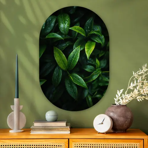 Bladeren - Regendruppels - Licht - Groen Wandcirkel Ovaal Glas middel -sfeer2
