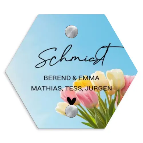 Gekleurde tulpen lucht - Sierlijk Naambord Hexagon klein -3d