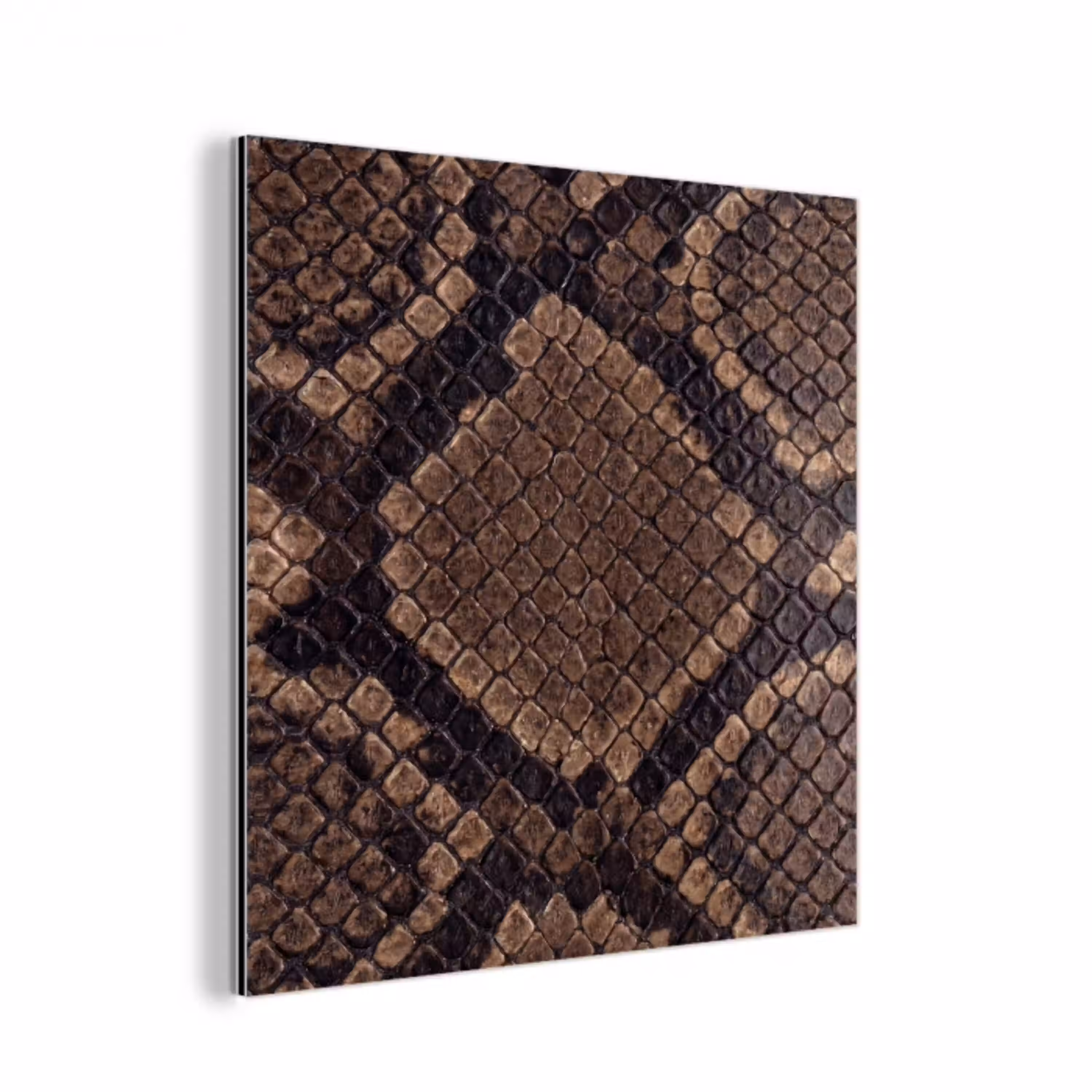 Python - Schubben - Brons aluminium wit klein -3d