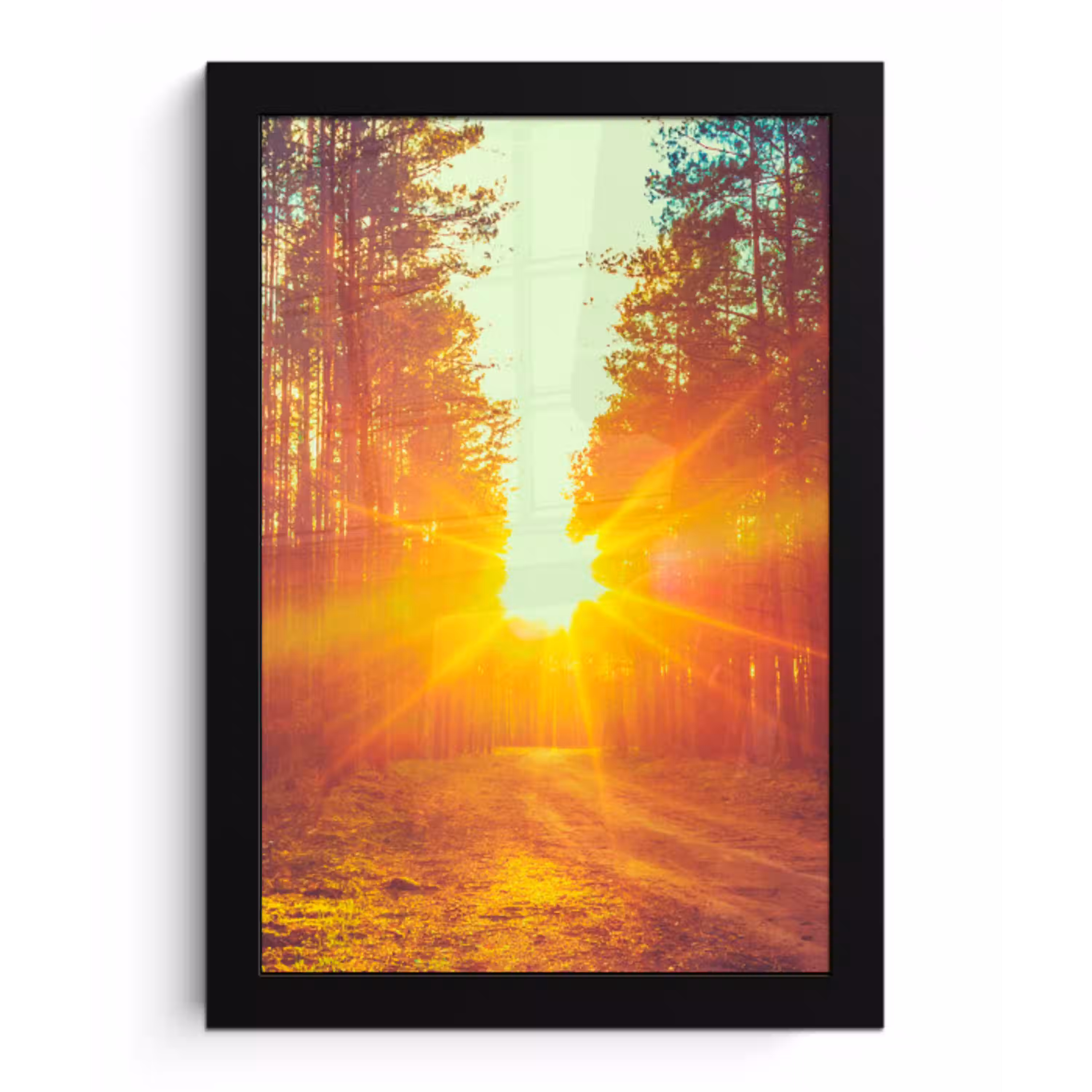 Zonsondergang - Bomen - Bos - Natuur fotolijst zwart zonder passe partout klein -3d