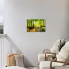 Zonnestralen in een groen bos Tuinposter op houten frame 2 cm dik klein -sfeer1