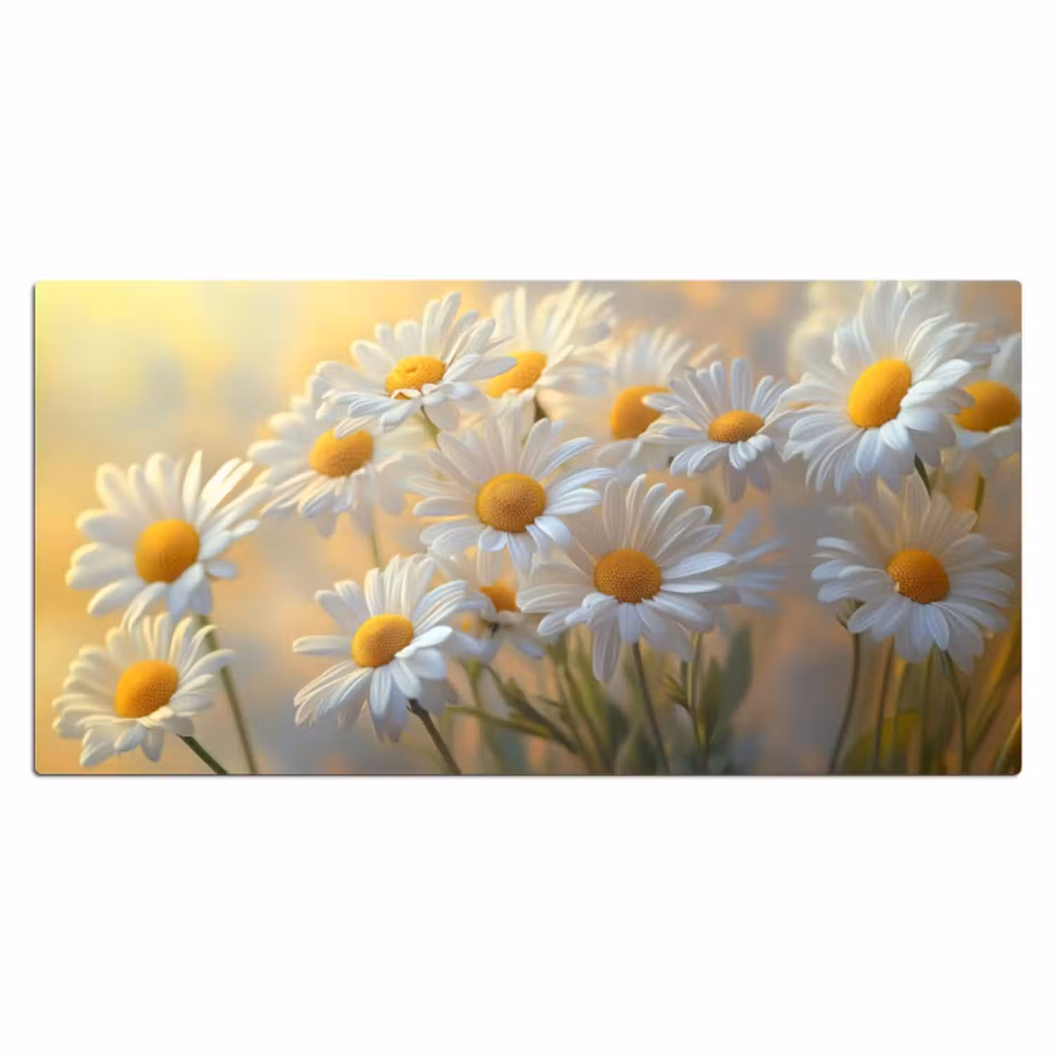 Schreibtischunterlage - Gänseblümchen - Weiß - Sonnenlicht