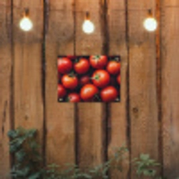 Groente - Rood - Tomaten tuinposter los doek klein -sfeer1