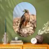 Valk - Vogel - Rots - Macht Wandcirkel Ovaal Glas middel -sfeer2