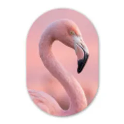 Flamingo - Portret - Roze Wandcirkel Ovaal Aluminium middel -3d