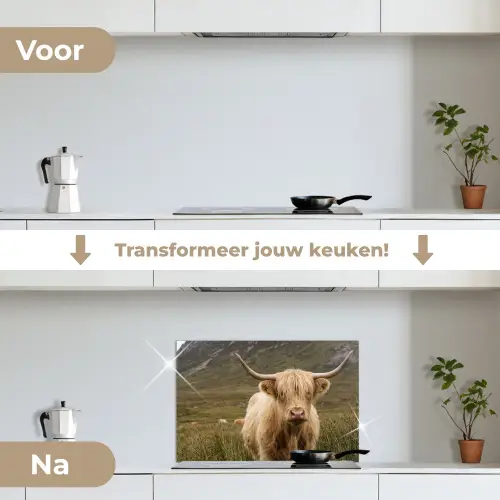 Schotse hooglander - Bergen - Grasveld keuken achterwand spatscherm klein -voor_na_NL