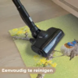 Vogel - Tak - Natuur - Kleurrijk Deurmat klein -reinigen_NL