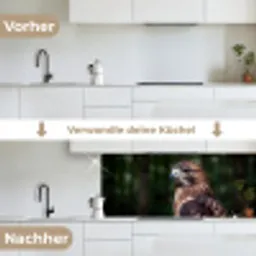 Buizerd - Roofvogel - Natuur - Bruin keuken achterwand 2 middel -voor-na_DE