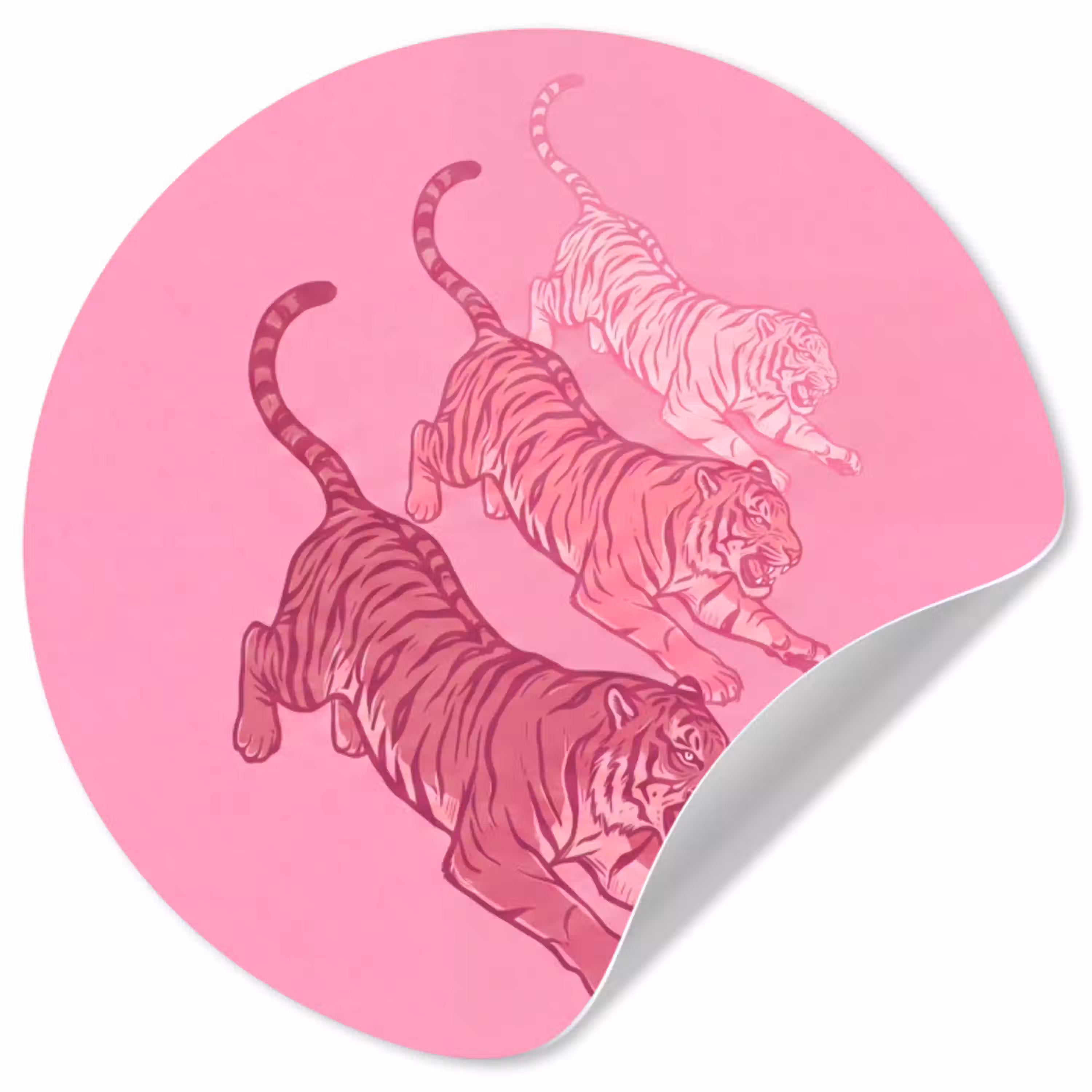 Kat - Springend - Dieren - Roze - Modern Wandcirkel behangsticker klein -3d
