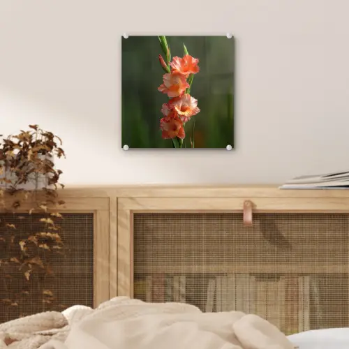 Bloem - Gladiolen - Zalmroze plexiglas 5mm klein -sfeer4