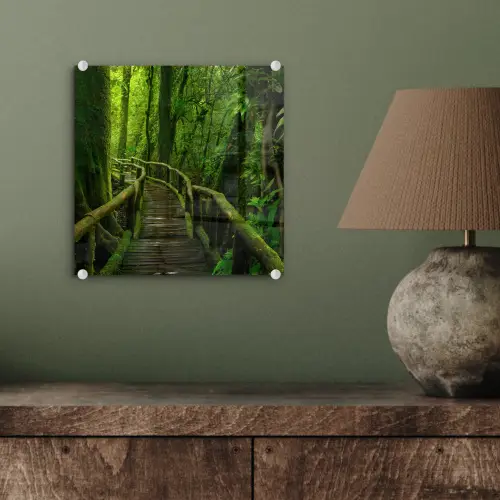 Jungle - Brug - Mos - Natuur - Tropisch plexiglas 5mm klein -sfeer3