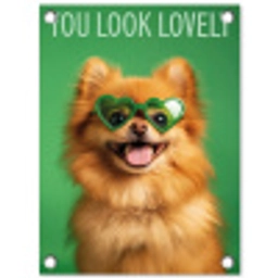 Hond - Zonnebril - Valentijn - Love tuinposter los doek klein -3d