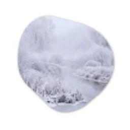 Rivier - Sneeuw - Bos - Winter - Schilderachtig Wandcirkel Organisch Aluminium middel -3d