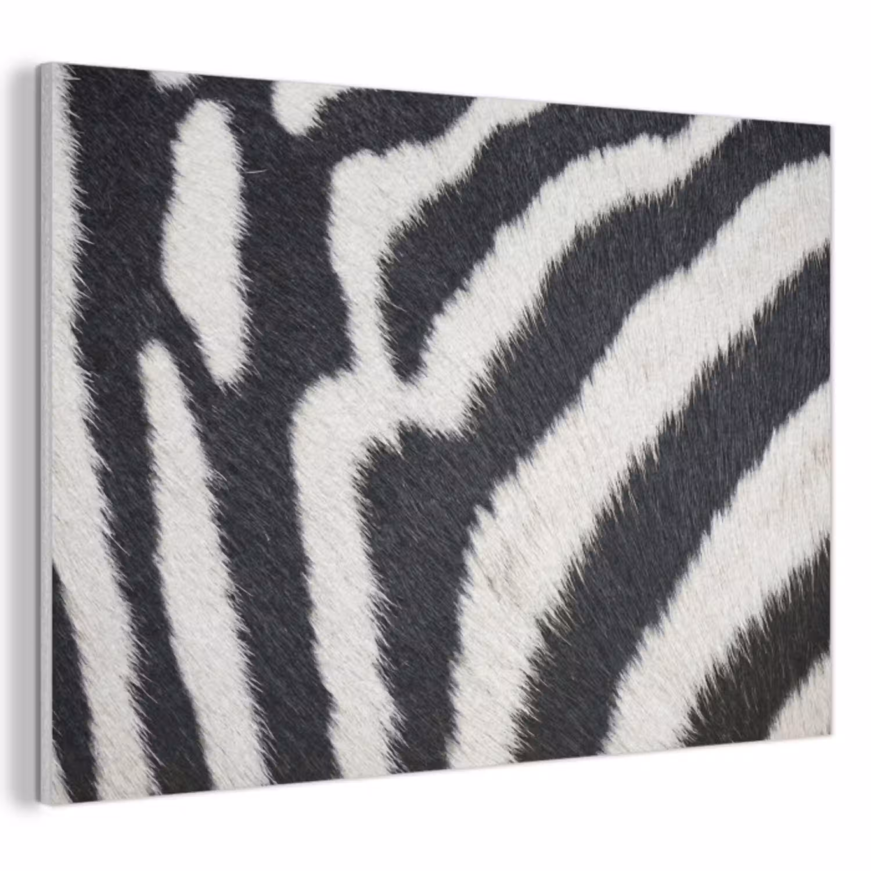 Zebra - Vacht - Klassiek - Zwart - Wit PET vilt klein -3d