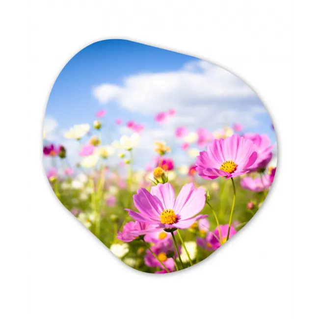 Bloemen - Wei - Paars - Gras - Wit - Wolken - Blauw Wandcirkel Organisch Forex 3mm klein -3d