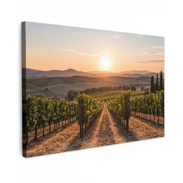 Wijngaard - Zonsondergang - Landschap canvas 2cm klein -z3d