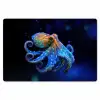 Octopus - Stippen - Blauw - Zee Placemat vinyl groot -zzsfeer1_Kitchenyeah-website
