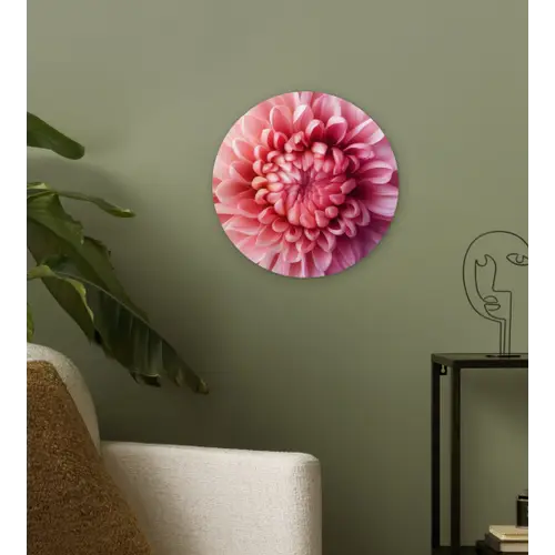 Dahlia - Bloem - Close up - Roze Wandcirkel kunststof plaat 5mm dik klein -sfeer3