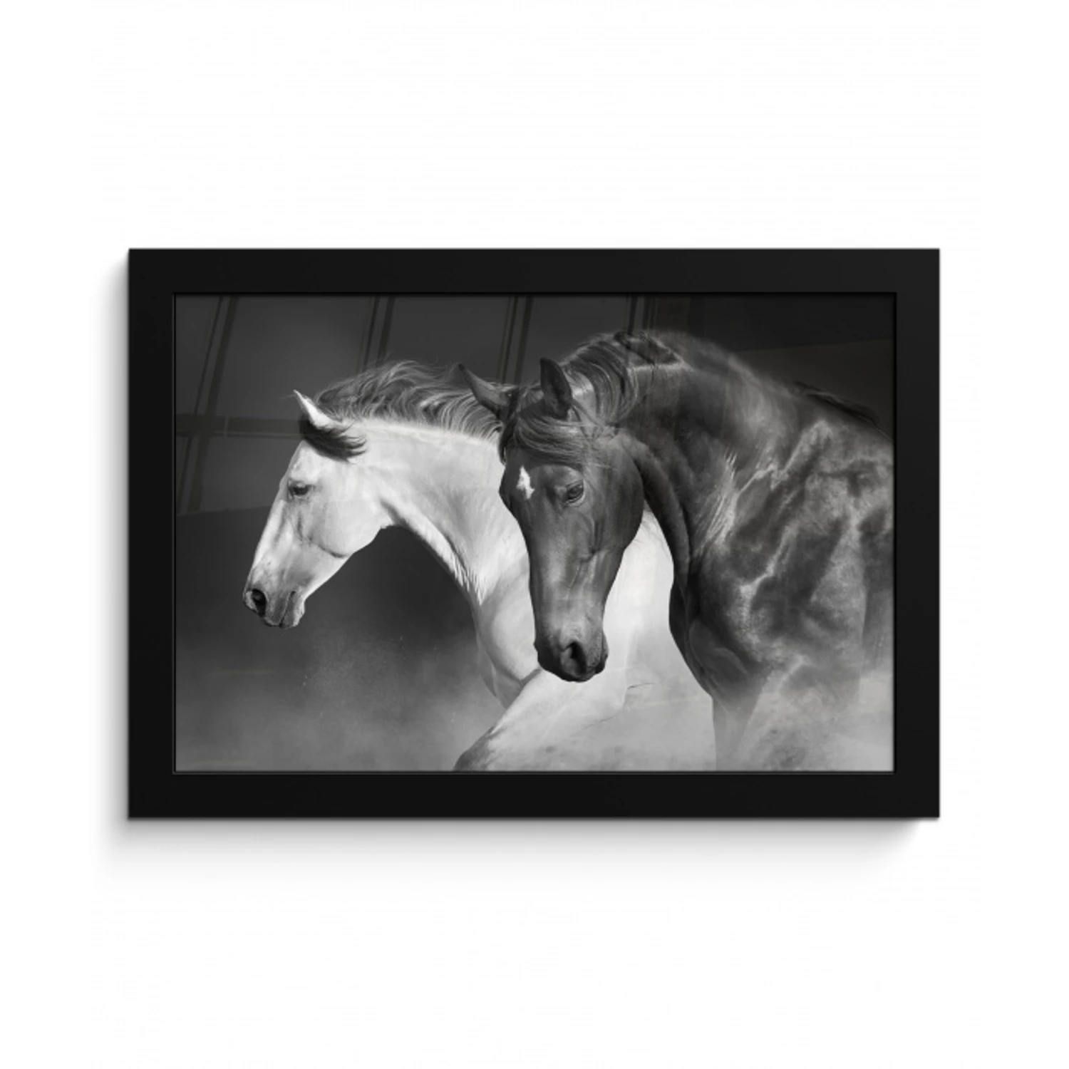 Paarden - Dieren - Zwart - Wit - Portret fotolijst zwart zonder passe partout klein -3d