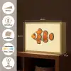 Vis - Oranje - Strepen Light Box met batterij (Wandlamp) middel -USP_websiteoverzichtNL