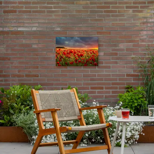 Klaprozenveld bij zonsondergang Tuinposter op houten frame 2 cm dik klein -sfeer3