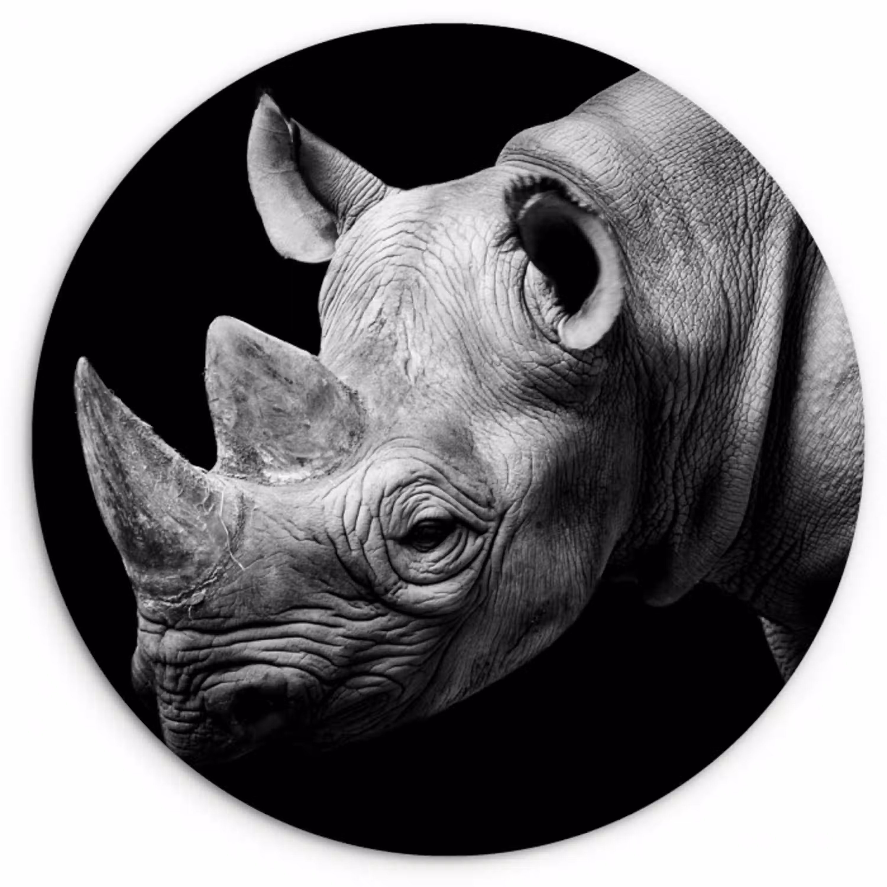 Dieren - Neushoorn - Zwart - Wit - Portret Wandcirkel kunststof plaat 5mm dik klein -3d