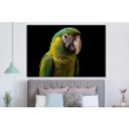Ara - Portret - Groen forex 5mm xxl -slaapkamer
