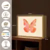 Vlinder - Minimalistisch - Roze Light Box met batterij (Wandlamp) middel -USP_websiteoverzichtNL